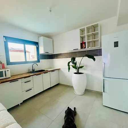 Belle Dans Neuve Avec Piscine * Perpignan