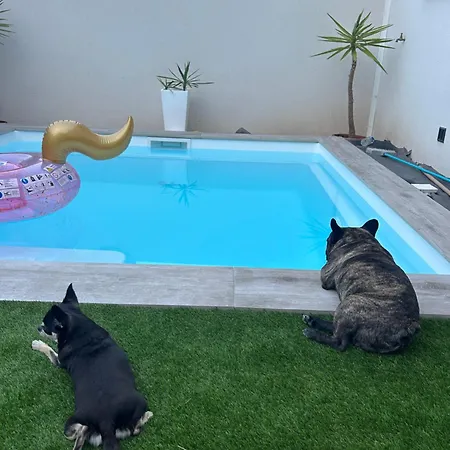 Séjour chez l'habitant Belle Dans Neuve Avec Piscine *