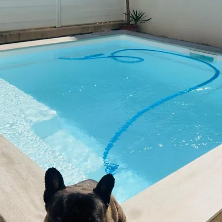 Séjour chez l'habitant Belle Dans Neuve Avec Piscine