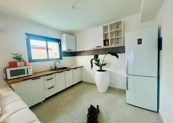 Belle Dans Neuve Avec Piscine * Perpignan