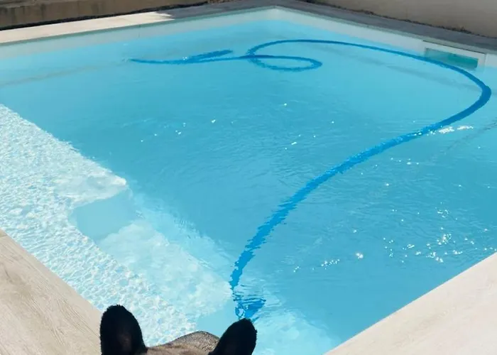 Séjour chez l'habitant Belle Dans Neuve Avec Piscine